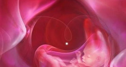 汾阳市生孩子做染色体检查有必要吗，筛查一次大概需要多少钱？