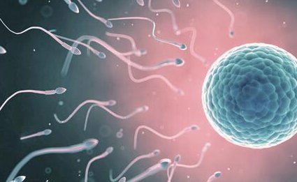 营口站前区在哪做试管婴儿，营口能做试管婴儿吗