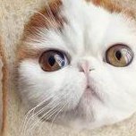 试管婴儿双胎和单胎价格一样？！费用差多少？