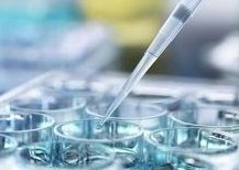 排卵障碍不容忽视，不孕大多是其原因！鹤壁市哪家医院擅长排卵障碍试管方案？