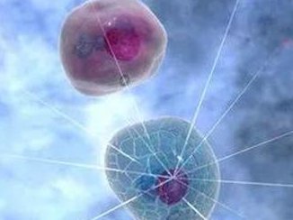 如何快速了解乙肝五项指标,想要看懂只需了解3点即可