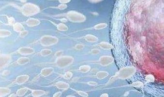 在桂林181医院39岁做试管婴儿成功率是多少？有什么影响？