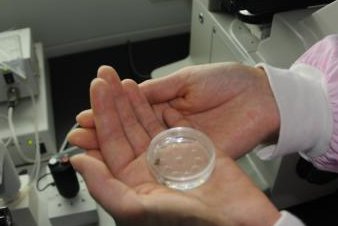 为什么说婴儿不吃手并不一定意味着脑瘫？